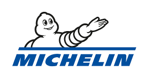 207 Michelin Lanka (Private) Limited logo